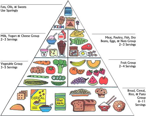 Food Pyramid Food Pyramid